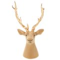 Tête de cerf décorative sculptée avec de grands bois, 52 cm | Floristik24.be