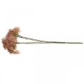 Floristik24 Branche artificielle de fleur de sureau rose 52cm 4pcs