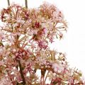 Floristik24 Floraison déco branche rose foncé Fleurs de prairie artificielles 88cm