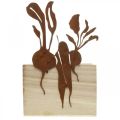 Floristik24 Boite à plantes bois décor rouille cache pot végétal 17×17×12cm