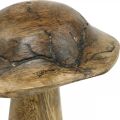 Floristik24 Champignon en bois avec motif déco champignon naturel, déco bois doré Ø10cm H13cm