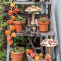 Champignon en bois déco feuilles d'automne blanc, décoration automnale colorée Ø13cm H19cm | Floristik24.be