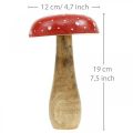 Floristik24 Amanite tue-mouche en bois déco champignon automne Ø12cm H19cm