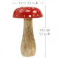Floristik24 Déco automne champignon champignon déco bois Ø9cm H14.5cm