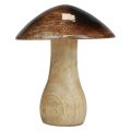 Décoration champignon en bois effet brillant marron naturel Ø10cm H12cm