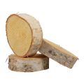 Floristik24 Disques en bois décoratifs en bois de bouleau écorce naturelle Ø7-9cm 20pcs