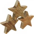 Floristik24 Étoiles en bois éparpiller décoration étoile Noël nature briller H5cm 12 pièces