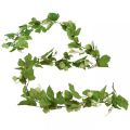 Floristik24 Guirlande de feuilles guirlande de houblon vert artificiel L180cm