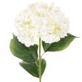 Floristik24 Hortensia artificiel à longue tige, fleur artificielle de 60 cm