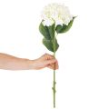 Hortensia artificiel à longue tige, fleur artificielle de 60 cm | Floristik24.be