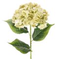 Floristik24 Fleur d'hortensia artificielle à longue tige et feuilles, 60 cm