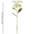 Fleur d'hortensia artificielle à longue tige et feuilles, 60 cm | Floristik24.be