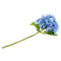 Floristik24 Fleur artificielle hortensia bleue 36cm