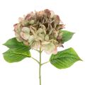 Floristik24 Fleur décorative d'hortensia artificiel avec tige, 46 cm