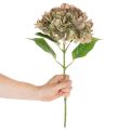 Fleur décorative d'hortensia artificiel avec tige, 46 cm | Floristik24.be