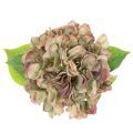 Fleur décorative