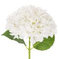 Floristik24 Fleur d'hortensia artificielle à longue tige pour la décoration, 48 cm