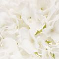 Fleur d'hortensia artificielle à longue tige pour la décoration, 48 cm | Floristik24.be