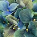 Fleur d'hortensia artificielle, bleu-vert, tige décorative unique, 53 cm | Floristik24.be