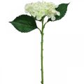 Floristik24 Hortensia, fleur en soie, fleur artificielle pour déco de table blanc, vert L44cm
