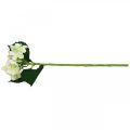 Floristik24 Hortensia, fleur en soie, fleur artificielle pour déco de table blanc, vert L44cm