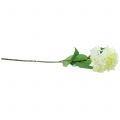 Floristik24 Hortensia blanc 80 cm