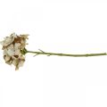Floristik24 Hortensia fleur artificielle marron, blanc décoration automne fleur en soie H32cm