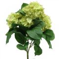 Floristik24 Hortensia artificiel vert bouquet de fleurs artificielles 5 fleurs 42cm