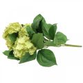 Floristik24 Hortensia artificiel vert bouquet de fleurs artificielles 5 fleurs 42cm