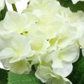 Floristik24 Hortensia fleurs artificielles en soie blanche bouquet décoration d&#39;été 42cm