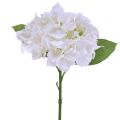 Floristik24 Hortensia Artificiel Blanc Real Touch Flowers 33cm