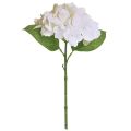 Floristik24 Hortensia Artificiel Blanc Real Touch Flowers 33cm
