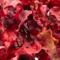 Branche d'hortensia artificielle en fleurs, grande fleur, 74 cm | Floristik24.be