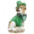 Floristik24 Beagle en chapeau St. Patrick&#39;s Day Dog in Suit Garden Decor Hound H24.5cm