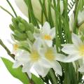 Floristik24 Bouquet artificiel avec jacinthes et tulipes 34cm