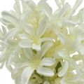 Floristik24 Jacinthe artificielle fleur artificielle blanche 28cm lot de 3pcs