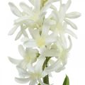 Floristik24 Jacinthe artificielle avec bulbe fleur artificielle blanche à coller 29cm