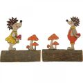 Floristik24 Hérisson aux champignons Figurine d&#39;automne hérisson en bois Jaune/Orange H11cm Lot de 6