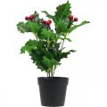 Floristik24 Houx en pot plantes artificielles Ilex artificiel 26cm