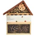 Floristik24 Insect Hotel Maison à insectes marron en bois 25 cm x 8,5 cm x 32 cm