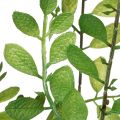 Plante artificielle en pot, 130 cm de haut, verte, décorative | Floristik24.be