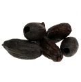 Floristik24 Cabosses de cacao naturel 10-18cm 15pcs