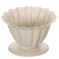 Floristik24 Bol, gobelet, calice de fleur, décor couleur crème, 9 cm