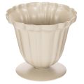 Floristik24 Bol décoratif, trophée couleur crème, petit, 10 cm