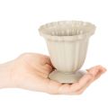 Bol décoratif, trophée couleur crème, petit, 10 cm | Floristik24.be