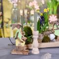 Floristik24 Bougeoir décoration de table en bois pour bougies H17cm 2pcs