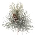 Floristik24 Branche de pin artificielle avec pommes de pin, style hivernal, 40 cm