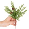 Branche de pin artificielle avec pommes de pin, 28 cm, lot de 6 | Floristik24.be