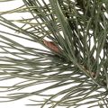 Branche de pin artificielle pour décoration de table et vases, 70 cm | Floristik24.be