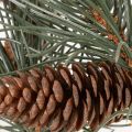 Branche de pin artificielle avec pommes de pin, décoration de salon, 93 cm | Floristik24.be